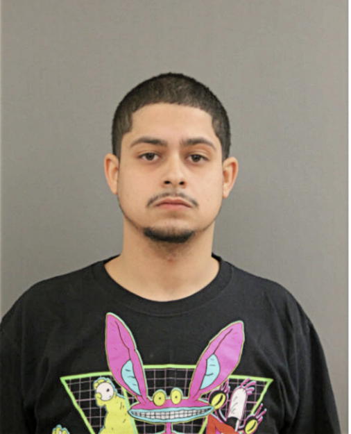 JASON JAY ROSA, Cook County, Illinois