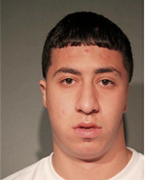 MUSTAFA SALIM, Cook County, Illinois