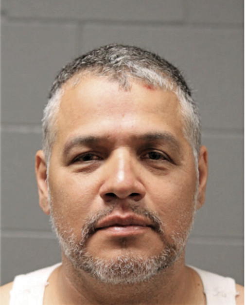 DANIEL M SANTANA, Cook County, Illinois