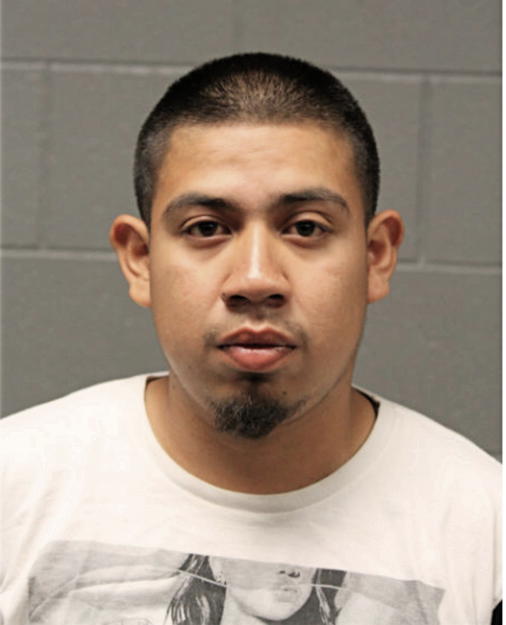BALTAZAR VALLADARES, Cook County, Illinois