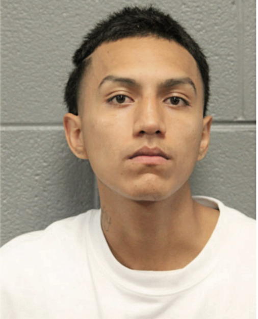 IRVING M VARGAS, Cook County, Illinois