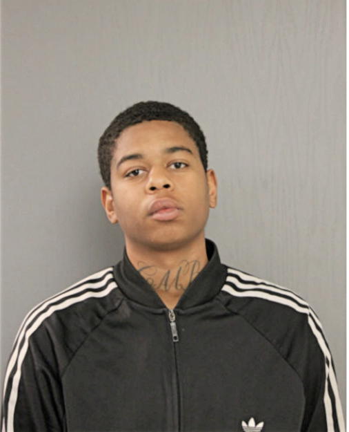 ANTHONY J WILLIAMS, Cook County, Illinois