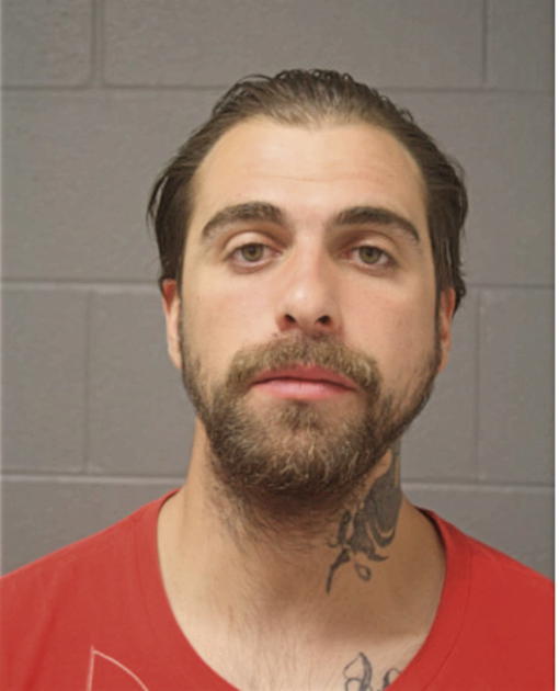 NICHOLAS A YOUNG, Cook County, Illinois