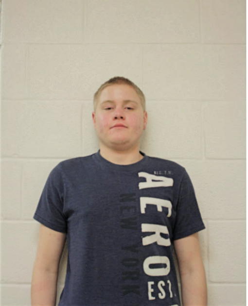 ADAM A ANTOLAK, Cook County, Illinois