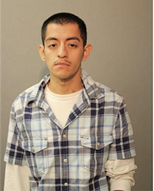 NERIO A ANTOLINO, Cook County, Illinois