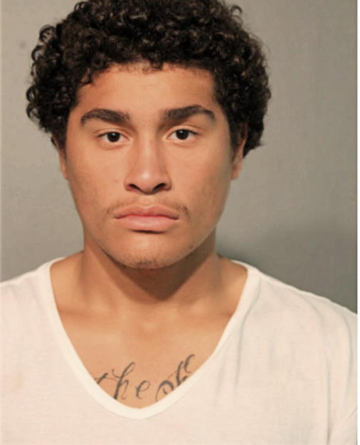 ENRIQUE D CARLO, Cook County, Illinois