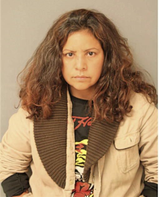 NANCY FLORES, Cook County, Illinois