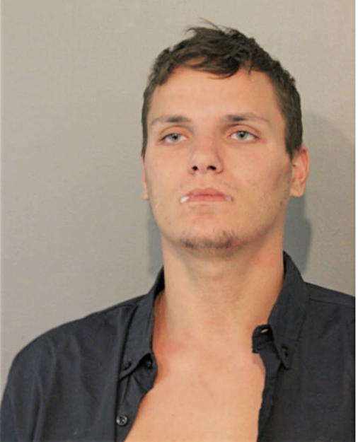 DILLON J HALLAM, Cook County, Illinois