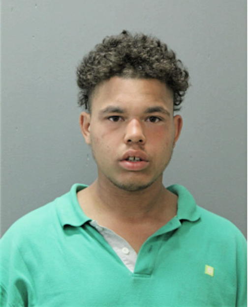 JACOB B JOHNSON, Cook County, Illinois