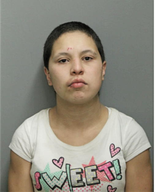 BRENDA MARES, Cook County, Illinois