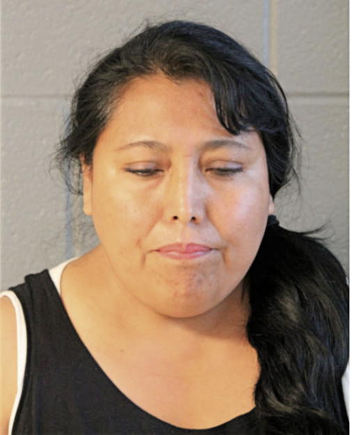CATALINA MENDIOLA, Cook County, Illinois
