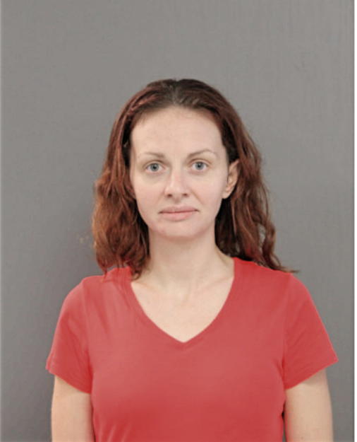 NICOLE M NICELY, Cook County, Illinois