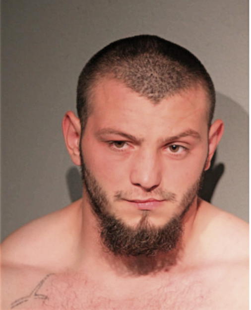 MATTHEW M PLISIC, Cook County, Illinois