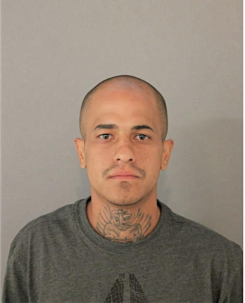 JOSE R POMALES, Cook County, Illinois