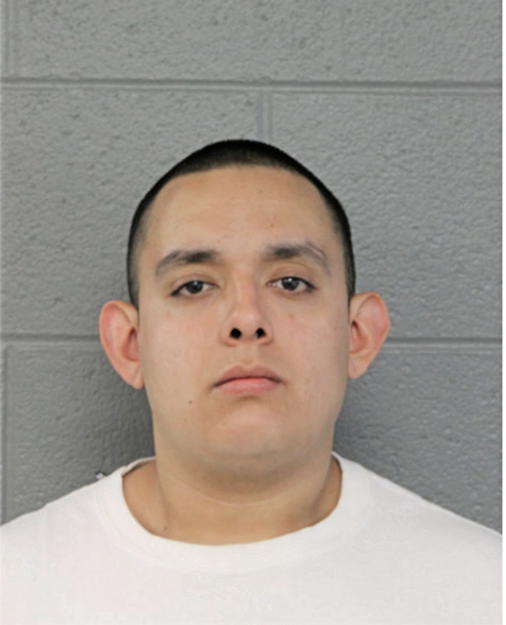 CESAR F RAMOS, Cook County, Illinois