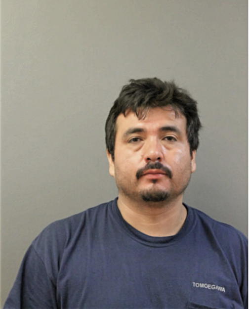 AUDEL VARGAS, Cook County, Illinois