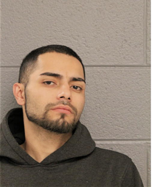 ALI I ADAM, Cook County, Illinois