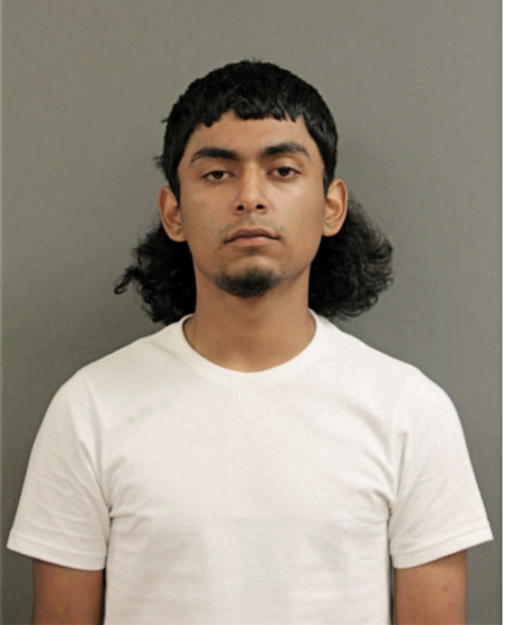 JUAN G AVILA, Cook County, Illinois