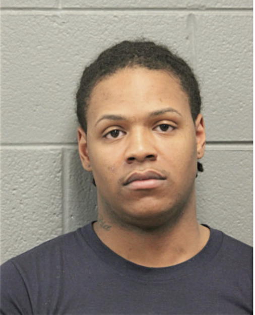 STEPHEN B J LEWIS, Cook County, Illinois