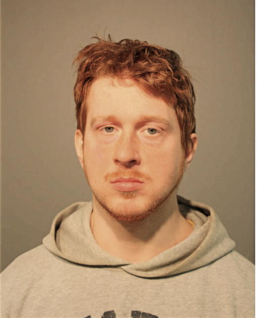 RYAN L BRANDIS, Cook County, Illinois
