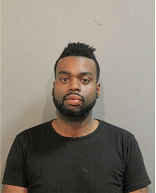 ALLEN M BUIE, Cook County, Illinois