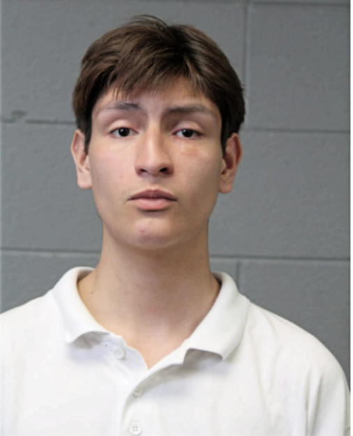 MIGUEL ESTRADA, Cook County, Illinois