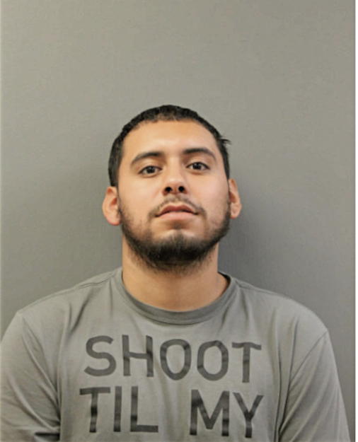 JOSE D FLORES, Cook County, Illinois