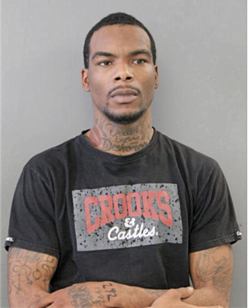 MICHAEL A GAGE, Cook County, Illinois