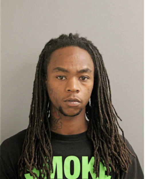 DERICK S GANT, Cook County, Illinois