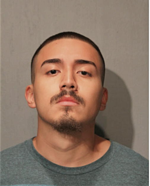JOEL X GARCIA, Cook County, Illinois