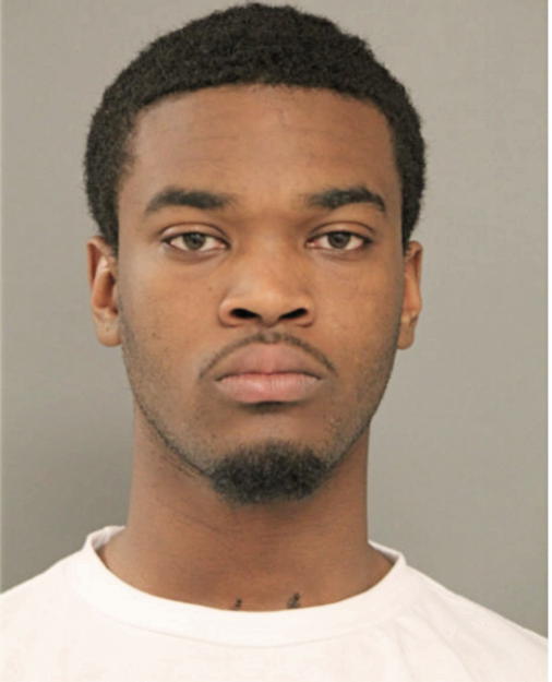 ANDRE J JACKSON, Cook County, Illinois