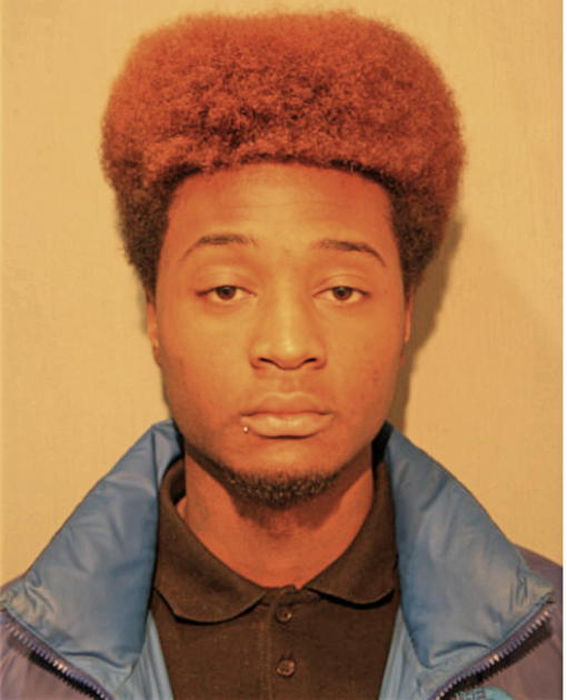 DAWON A JOHNSON, Cook County, Illinois