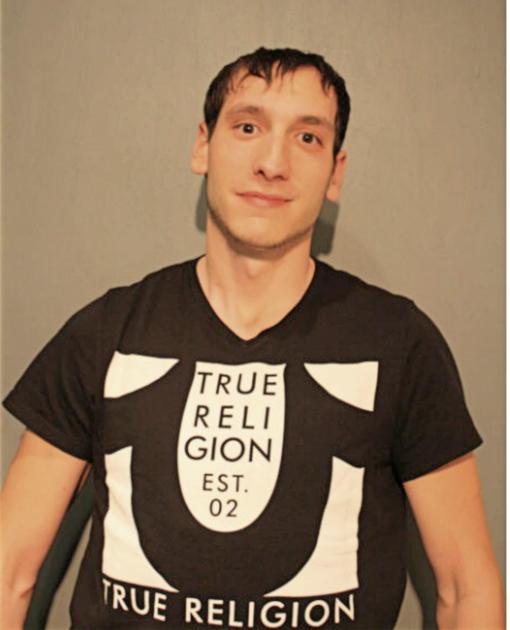 MICHAEL E KOLODZIEJ, Cook County, Illinois