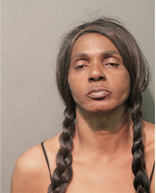 DARLENE J MCCLINTON, Cook County, Illinois