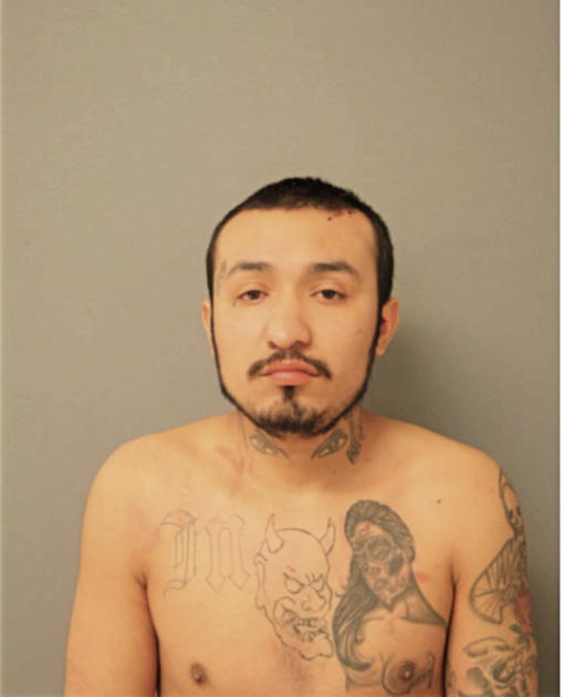BRIAN NARANJO, Cook County, Illinois