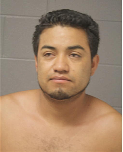 ALEJANDRO OLMEDO, Cook County, Illinois