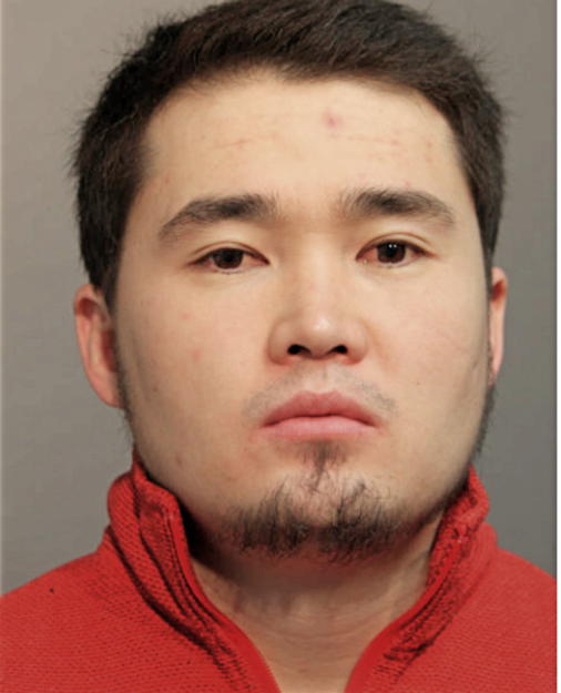 NURADYL RYSBAEV, Cook County, Illinois