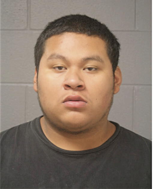 CHRISTIAN ALVAREZ, Cook County, Illinois