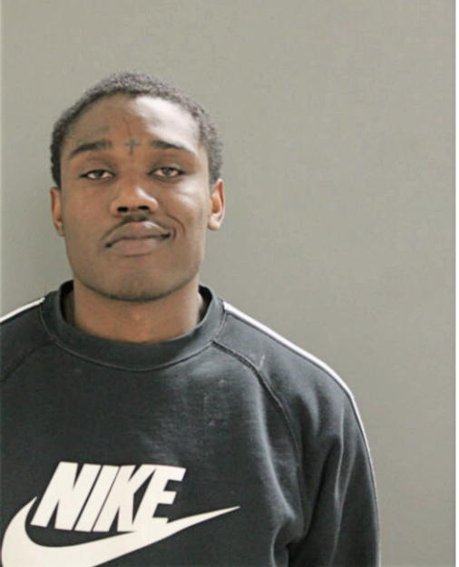 JOHNNY S ANDERSON, Cook County, Illinois