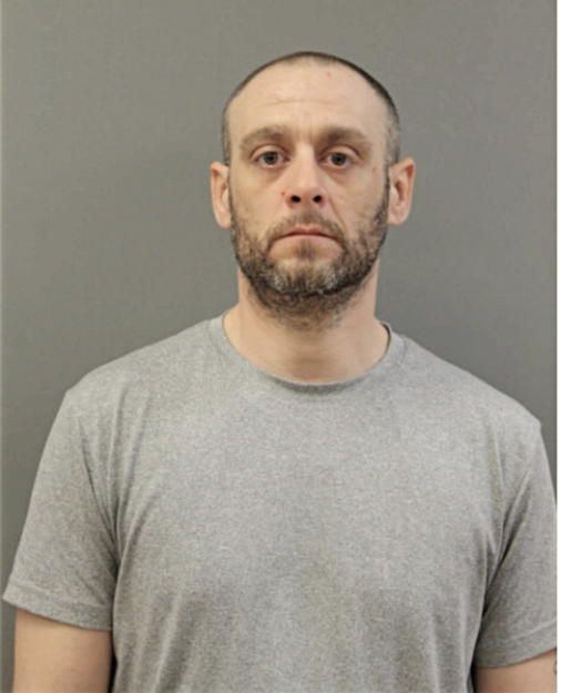 BRIAN T DURLANICH, Cook County, Illinois