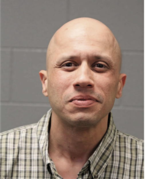 MARIO J FLORES, Cook County, Illinois