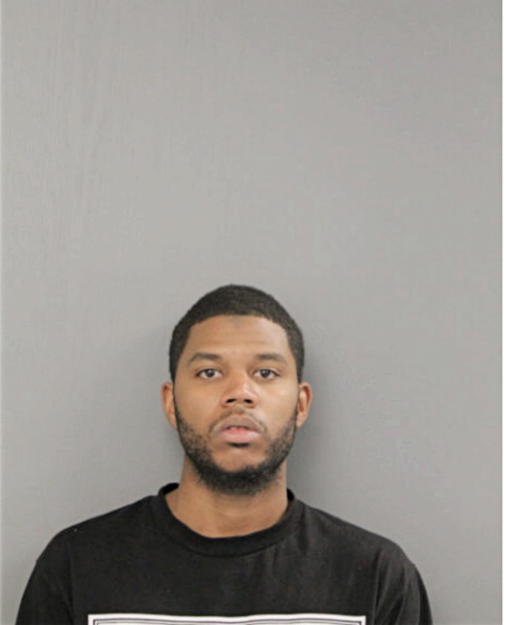 BRIAN T HESTER, Cook County, Illinois