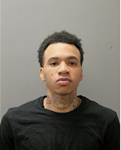 KIRK E JOHNSON, Cook County, Illinois