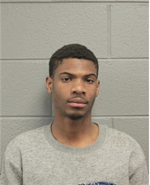 RAY C LEE, Cook County, Illinois