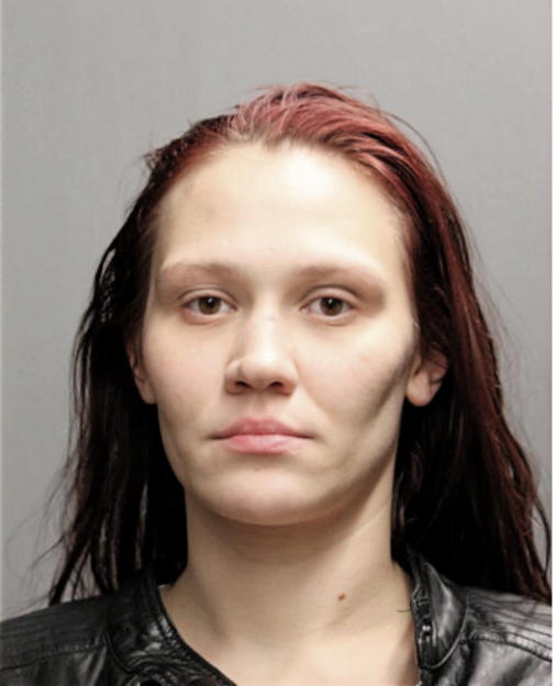 AMANDA ELIZABETH MICEK, Cook County, Illinois