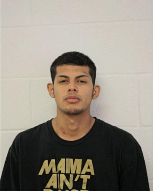 JOSEPH NAVA, Cook County, Illinois