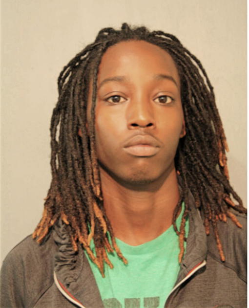 ARDARIUS R PIERCE, Cook County, Illinois