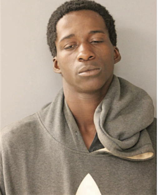 REGGIE L RICKS, Cook County, Illinois