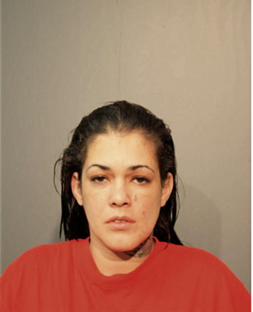 CECILIA M SANTIAGO, Cook County, Illinois