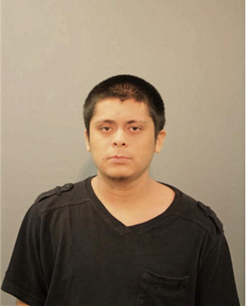 IVAN SOTO, Cook County, Illinois